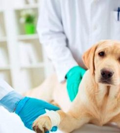 Clínica Veterinaria Carlos Vázquez Fernández